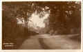 View of Rogers Walk