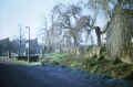 View of Paddock Row and Smith Street