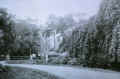 View of Paddock Row & Smith Street early 1900s