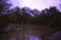 Flooding in Fardell's Lane
