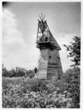 Stock mill in Rogues Lane, probably in 1930s