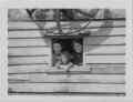 daisy, Ann and Dora Papworth