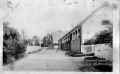 Avenue Farm